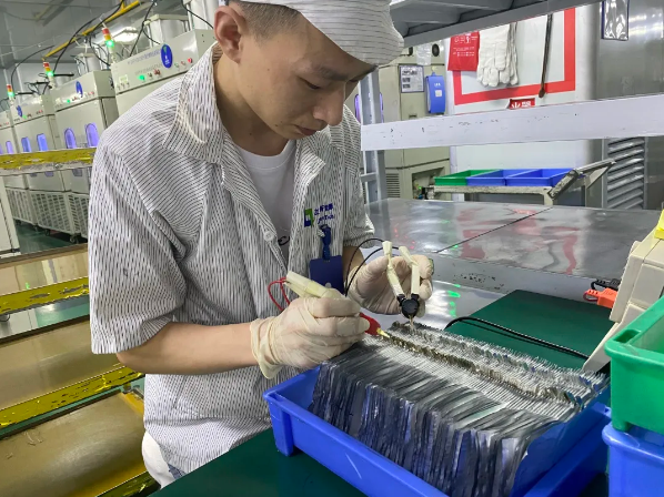 风范10BET十博体育人③|张艳平：心有多大，舞台就有多大！
